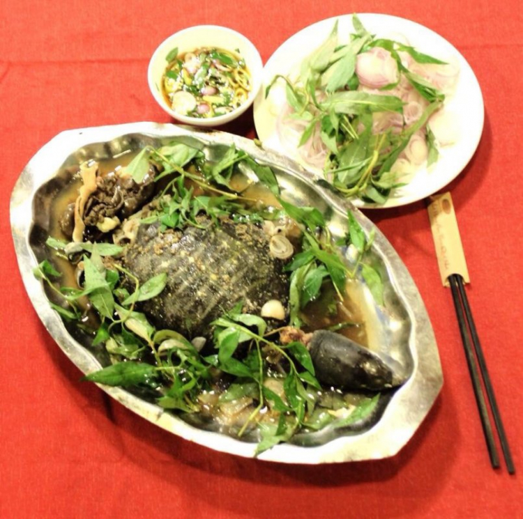 tìm nhà hàng Ba ba ngon ở sài gòn tìm nhà hàng Ba ba ngon ở sài gòn