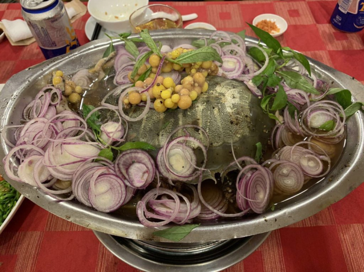 tìm nhà hàng Ba ba ngon ở sài gòn tìm nhà hàng Ba ba ngon ở sài gòn