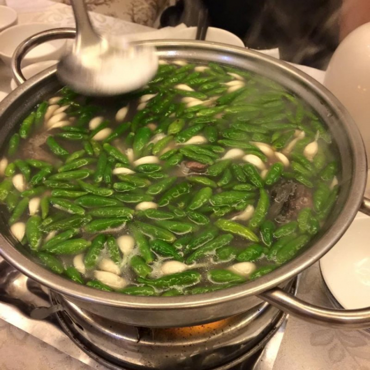 tìm nhà hàng Ba ba ngon ở sài gòn tìm nhà hàng Ba ba ngon ở sài gòn