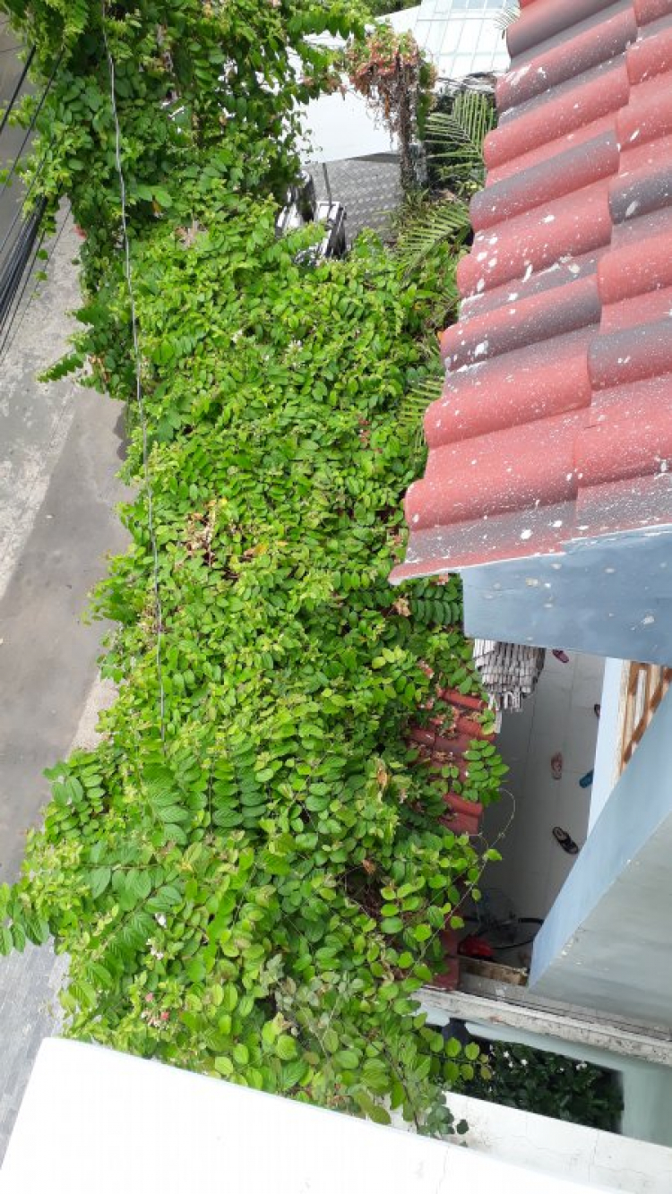 Đuổi rắn con ra khỏi nhà! Đuổi rắn con ra khỏi nhà!