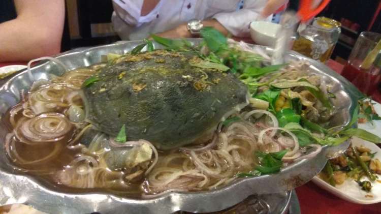 tìm nhà hàng Ba ba ngon ở sài gòn tìm nhà hàng Ba ba ngon ở sài gòn