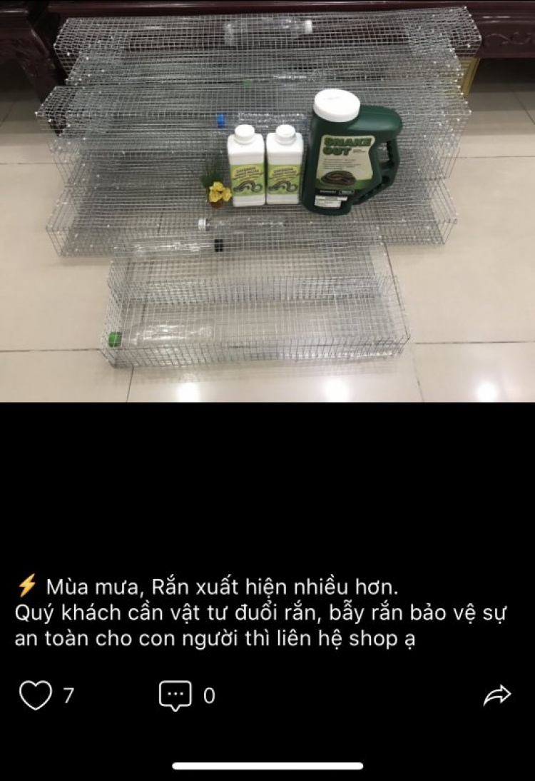 Đuổi rắn con ra khỏi nhà!