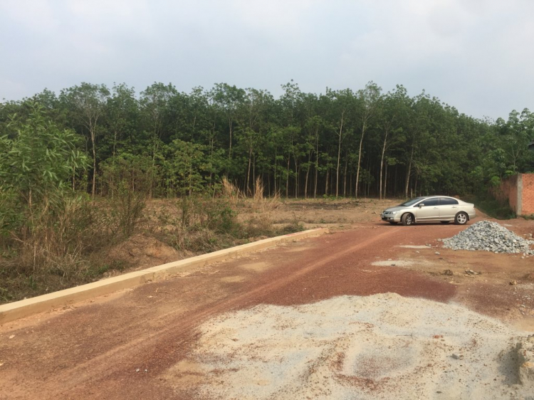 Quận 12 đã bỏ mở rộng đường Vườn Lài An Phú Đông Quận 12 đã bỏ mở rộng đường Vườn Lài An Phú Đông
