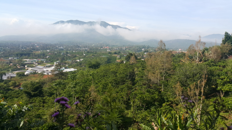 Ăn gì, chơi gì ở Bảo Lộc, Di Linh, Đức Trọng, Đơn Dương