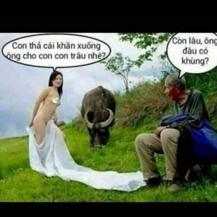 Hỏi về mật ong rừng Hỏi về mật ong rừng