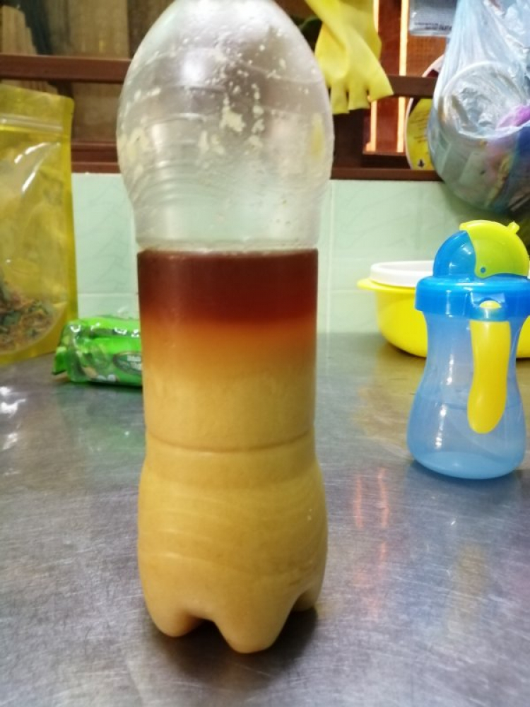 Hỏi về mật ong rừng Hỏi về mật ong rừng