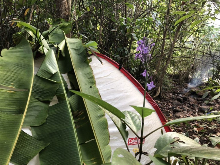 hotel resort nào xung quanh sài gòn 150km