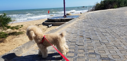 20190216_144646.jpg