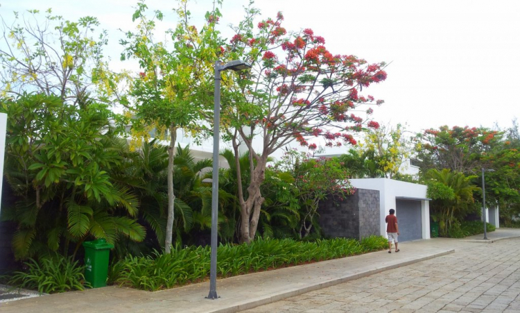Tất tần tật về con đường ven biển ở Bà Rịa Vũng Tàu và các bãi tắm, resort ở đây Tất tần tật về con đường ven biển ở Bà Rịa Vũng Tàu và các bãi tắm, resort ở đây