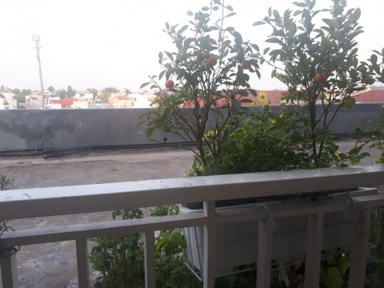 hệ thống điện năng lượng mặt trời có sử dụng đường điện thường? hệ thống điện năng lượng mặt trời có sử dụng đường điện thường?