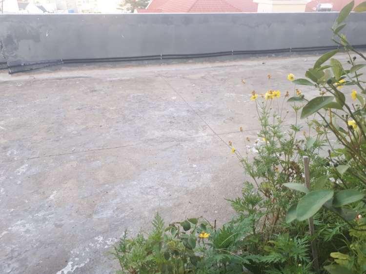 hệ thống điện năng lượng mặt trời có sử dụng đường điện thường? hệ thống điện năng lượng mặt trời có sử dụng đường điện thường?