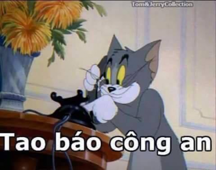 Làm gì với 100 củ? Làm gì với 100 củ?