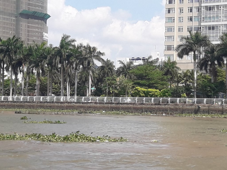 WATERBUS lãi ko? WATERBUS lãi ko?