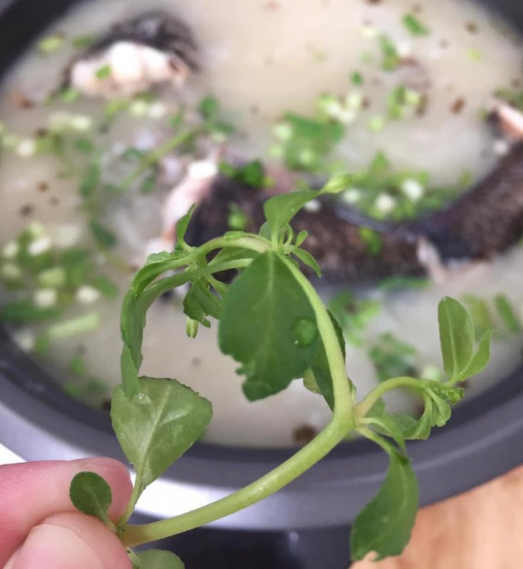 Ăn uống quận 7 Ăn uống quận 7
