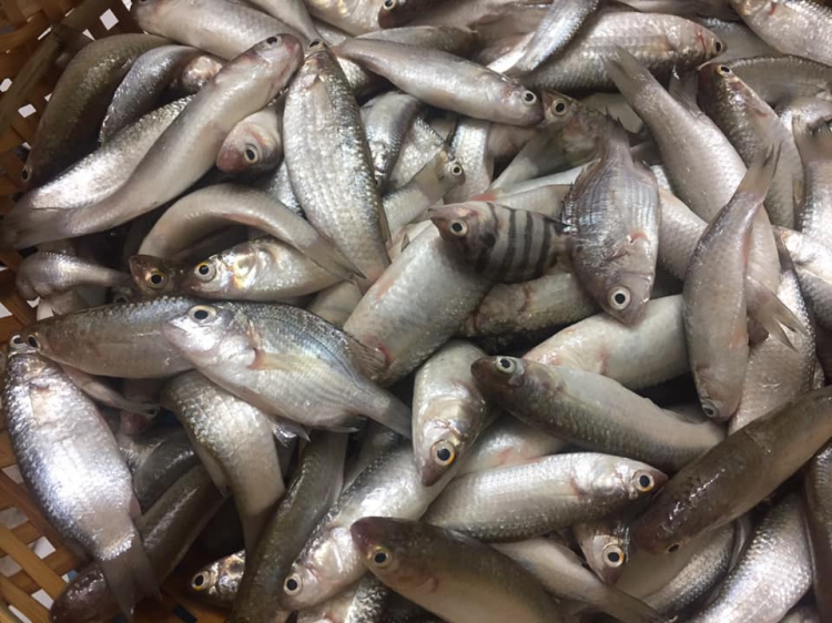 Ăn uống quận 7 Ăn uống quận 7