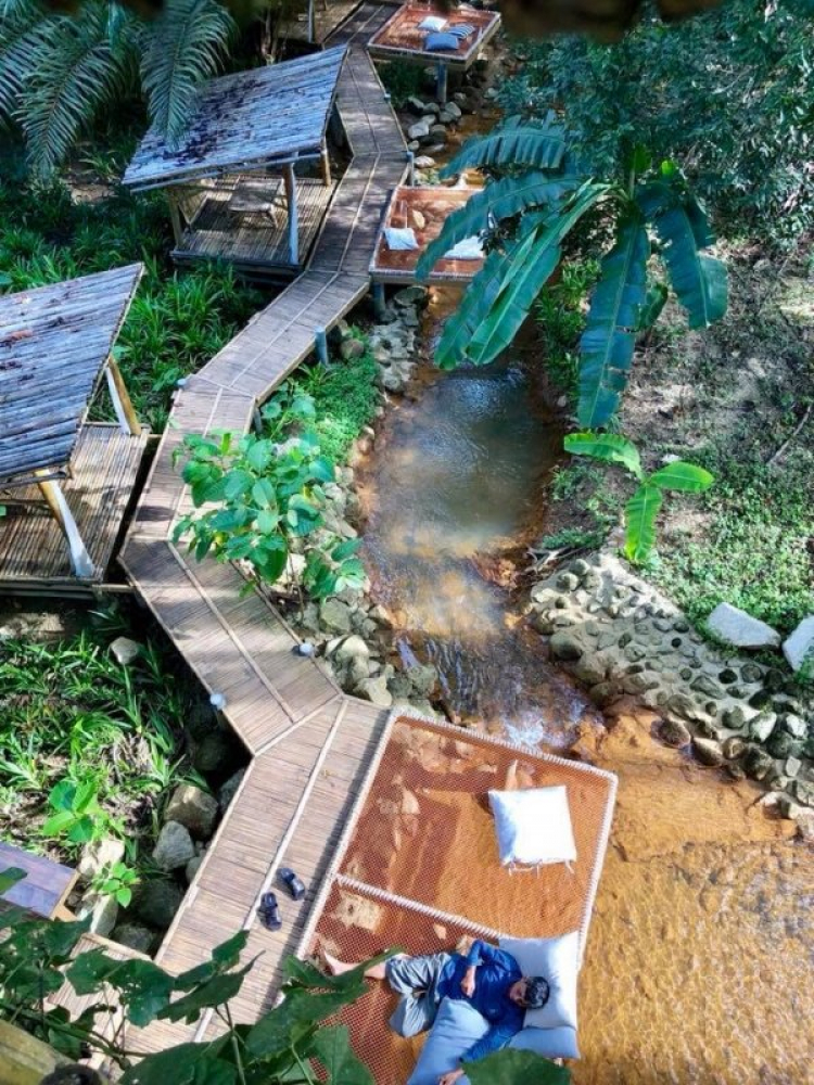 Xin ý kiến về phát triển mô hình du lịch biển và du lịch rừng Xin ý kiến về phát triển mô hình du lịch biển và du lịch rừng