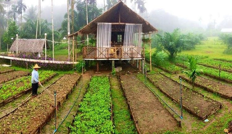 Xin ý kiến về phát triển mô hình du lịch biển và du lịch rừng Xin ý kiến về phát triển mô hình du lịch biển và du lịch rừng