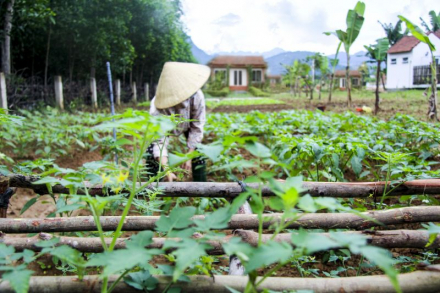 Chay-Lap-Farmstay.jpg