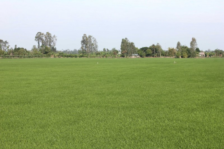Nhờ Hướng Dẫn các điểm tham quan du lịch Đồng bằng sông Cửu Long trong 4 ngày Nhờ Hướng Dẫn các điểm tham quan du lịch Đồng bằng sông Cửu Long trong 4 ngày