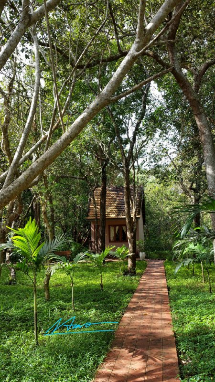 Tất tần tật về con đường ven biển ở Bà Rịa Vũng Tàu và các bãi tắm, resort ở đây Tất tần tật về con đường ven biển ở Bà Rịa Vũng Tàu và các bãi tắm, resort ở đây