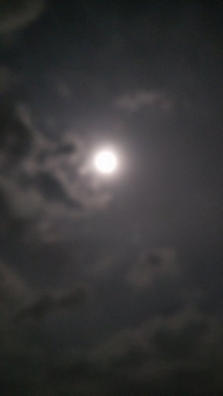 IMG_20190517_202441.jpg
