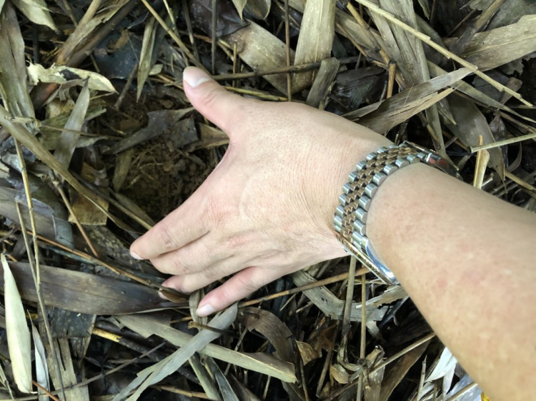 Trị An : đảo Kiểm Lâm và đảo 5 Bầu 17/05/19