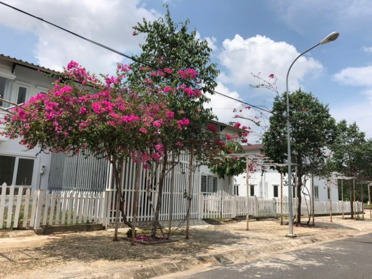 Khu đô thị DTA Nhơn Trạch, Đồng Nai Khu đô thị DTA Nhơn Trạch, Đồng Nai