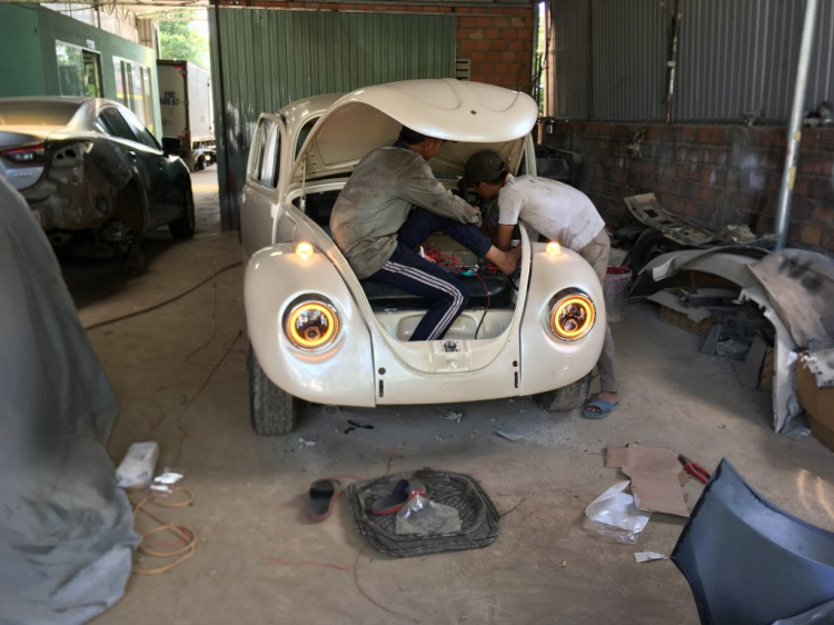 thông tin về : Beetle -Volkswagen thông tin về : Beetle -Volkswagen
