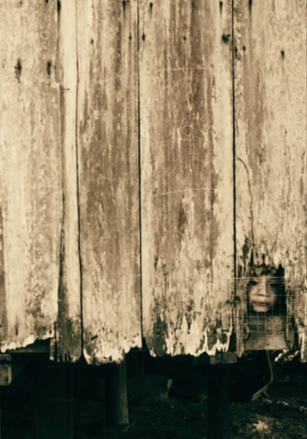 _20190521_112237.JPG