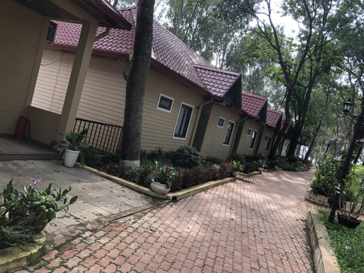 Cắm trại Đảo Ó - Đồng Trường Cắm trại Đảo Ó - Đồng Trường