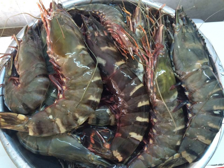 Món tôm crawfish Món tôm crawfish