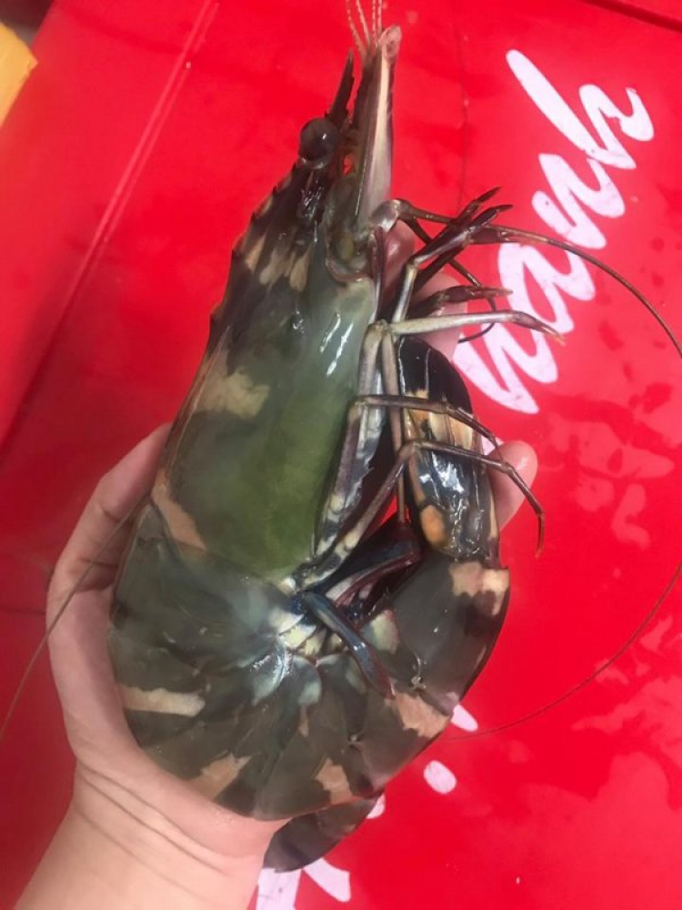 Món tôm crawfish Món tôm crawfish