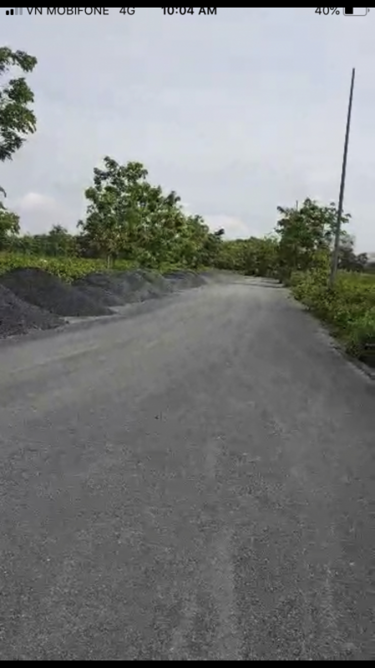 Tư vấn mua đất Phú Xuân, Nhà Bè Tư vấn mua đất Phú Xuân, Nhà Bè