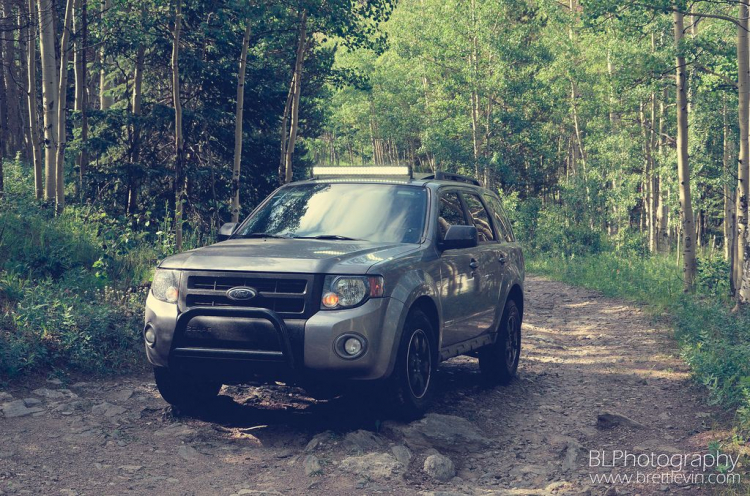 Ford Escape mới có giá bán khởi điểm tại Mỹ rẻ hơn cả Toyota RAV4 và Nissan Rougue Ford Escape mới có giá bán khởi điểm tại Mỹ rẻ hơn cả Toyota RAV4 và Nissan Rougue