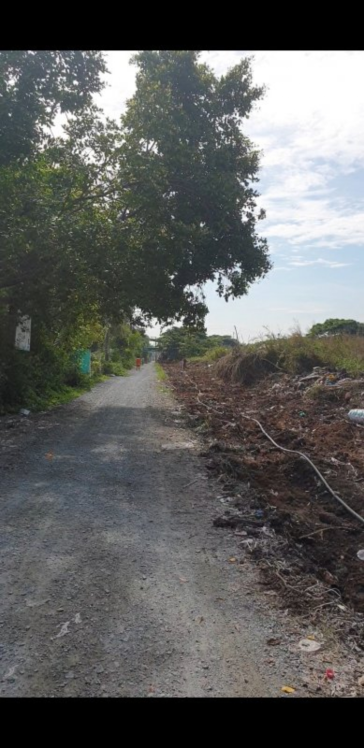 Tư vấn mua đất Phú Xuân, Nhà Bè Tư vấn mua đất Phú Xuân, Nhà Bè