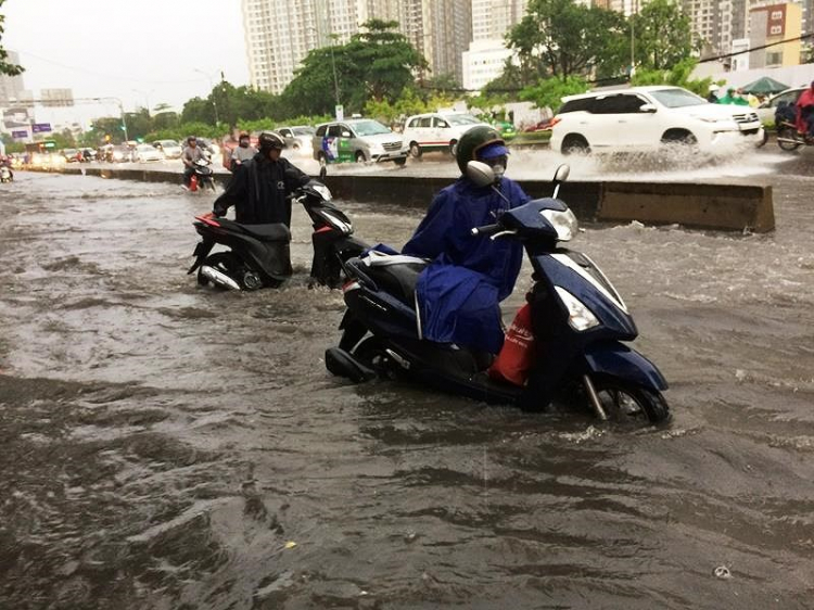 Nguyễn Hữu Cảnh: Ác mộng mùa mưa