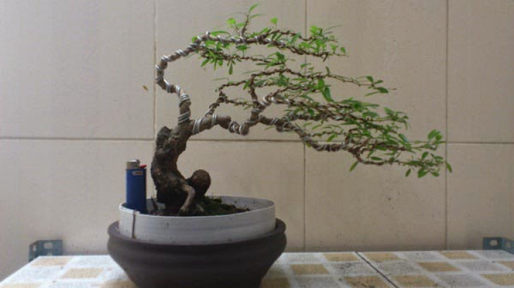 BÀN VỀ KÊNH YOUTBUE BS NHÀ ĐẤT BÀN VỀ KÊNH YOUTBUE BS NHÀ ĐẤT