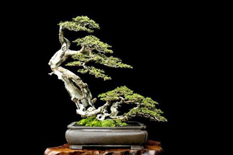 BÀN VỀ KÊNH YOUTBUE BS NHÀ ĐẤT BÀN VỀ KÊNH YOUTBUE BS NHÀ ĐẤT