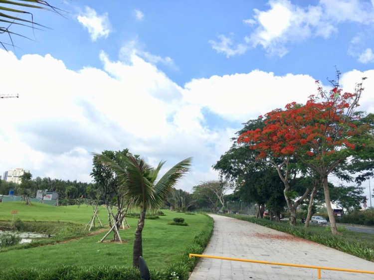Eco Green Sài Gòn quận 7 Eco Green Sài Gòn quận 7