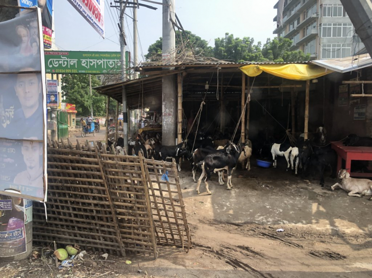 Em đến nơi thế giới bỏ quên...Bangladesh...Bhutan