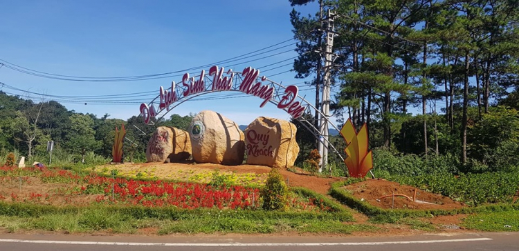 SG Đà Nẵng SG Đà Nẵng