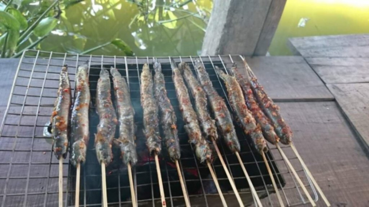Hình ảnh miền Tây ! Hình ảnh miền Tây !
