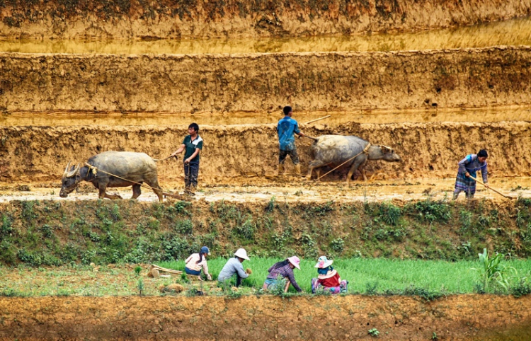 Diễn đàn Otosaigon phát động cuộc thi ảnh "Xe & Những Chuyến Đi 2019"