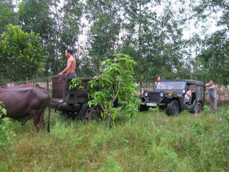 Gara độ / sửa chữa Jeep cổ..