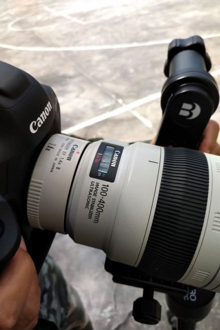 tư vấn mua lens canon chụp ảnh bắn chim tư vấn mua lens canon chụp ảnh bắn chim