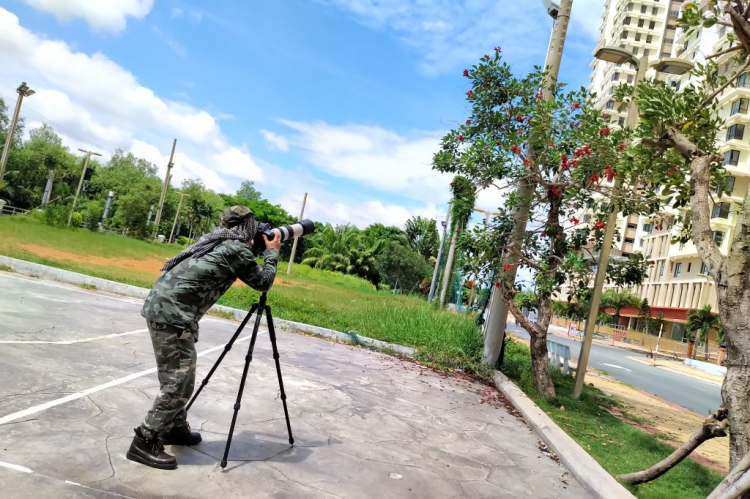 tư vấn mua lens canon chụp ảnh bắn chim tư vấn mua lens canon chụp ảnh bắn chim