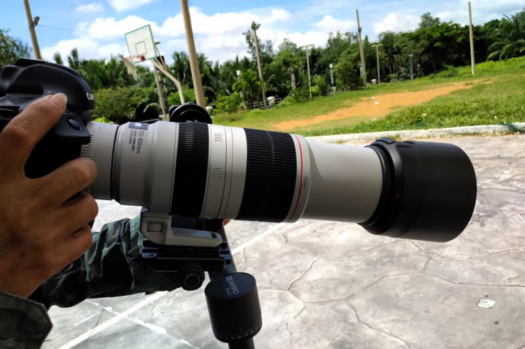 tư vấn mua lens canon chụp ảnh bắn chim tư vấn mua lens canon chụp ảnh bắn chim