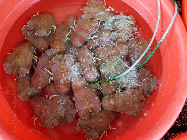 Mùa hè rực rỡ, rong ruổi trên những con đường ven biển Mùa hè rực rỡ, rong ruổi trên những con đường ven biển