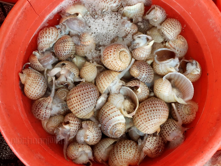 Mùa hè rực rỡ, rong ruổi trên những con đường ven biển Mùa hè rực rỡ, rong ruổi trên những con đường ven biển