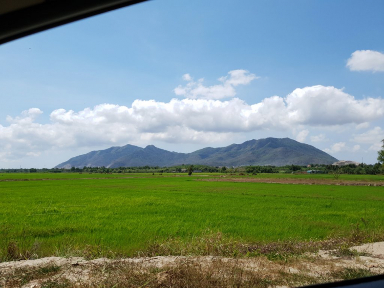 Mùa hè rực rỡ, rong ruổi trên những con đường ven biển Mùa hè rực rỡ, rong ruổi trên những con đường ven biển